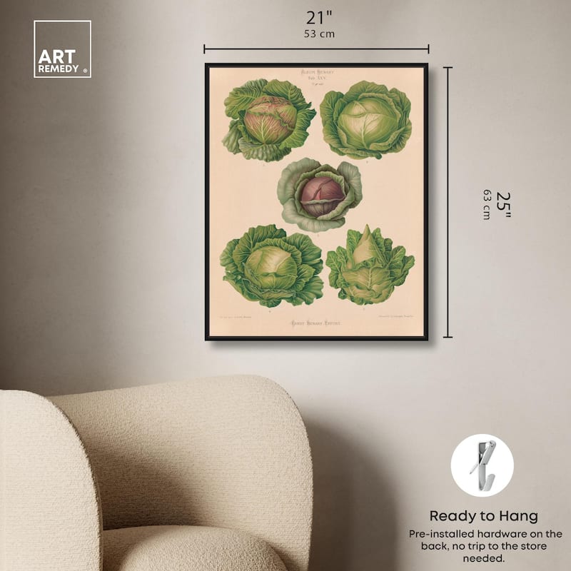 Cabbages by Benary 1876 Canvas by Art Remedy