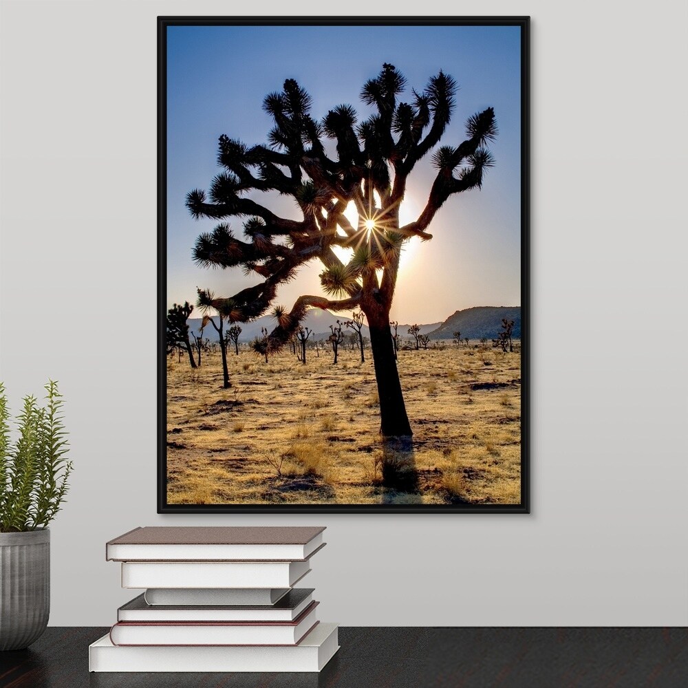 Shop Joshua Tree National Park California Black Float Frame