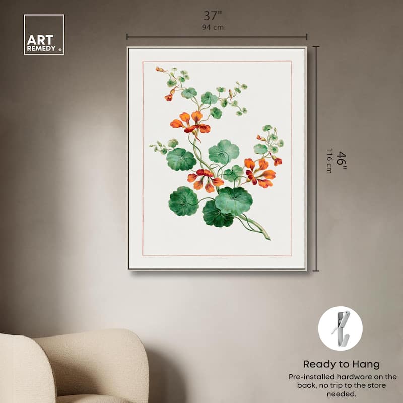Nasturtium (1788) Canvas by Art Remedy