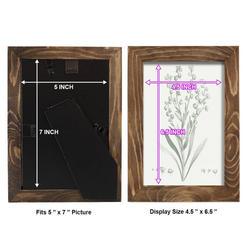 Botanical Study in Sage I -Framed Print w/glass-Cherry Red