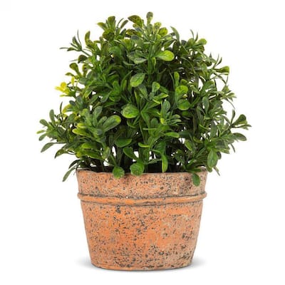 Boxwood Plant In Natural Pot Faux Plants And Trees