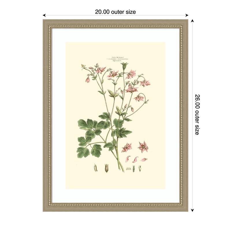 Small Blushing Pink Florals No. 9 by John Miller Wood Framed Wall Art Print