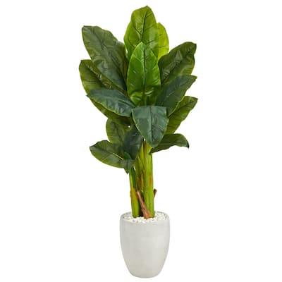 52" Triple Stalk Artificial Banana Tree in White Planter (Real Touch)