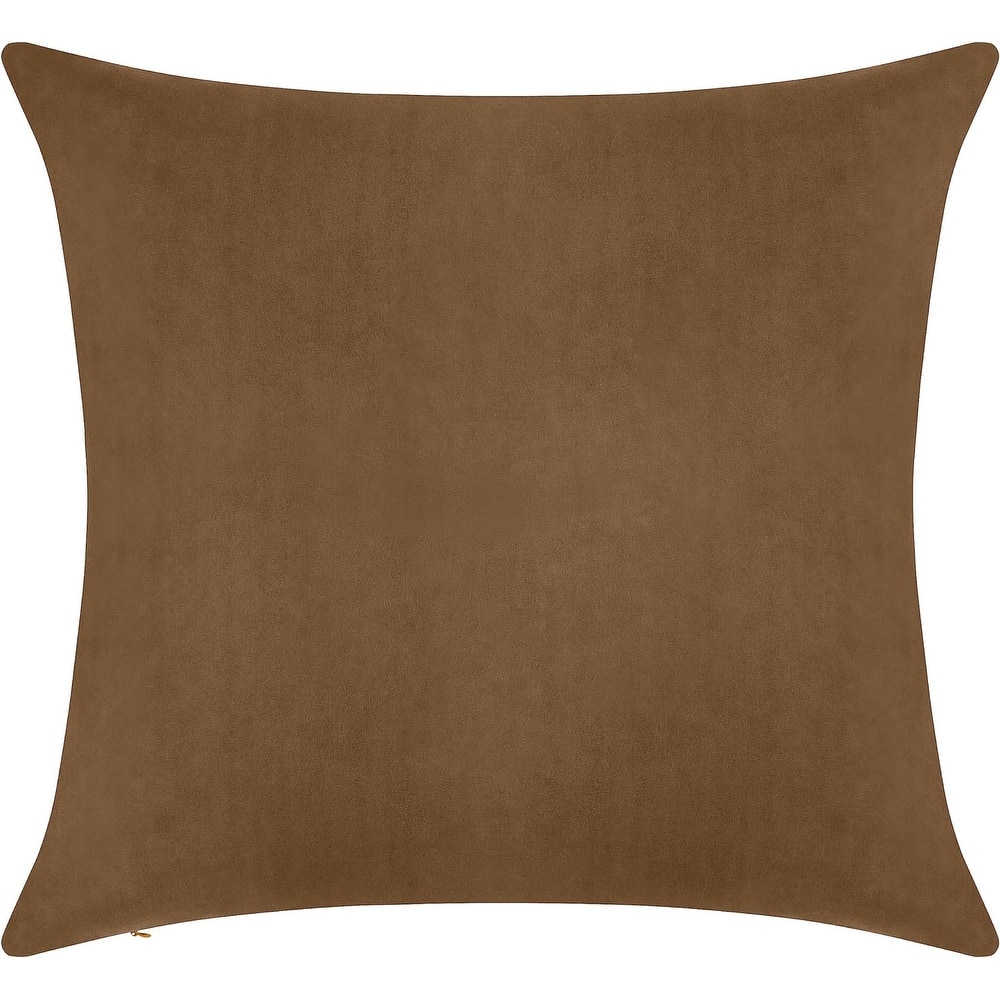 Delara Pack of 1 Velvet Decorative Throw Pillow Cover 20x20 Inches, Cushion Cover, Soft and Breathable Fabric, Hidden Zipper