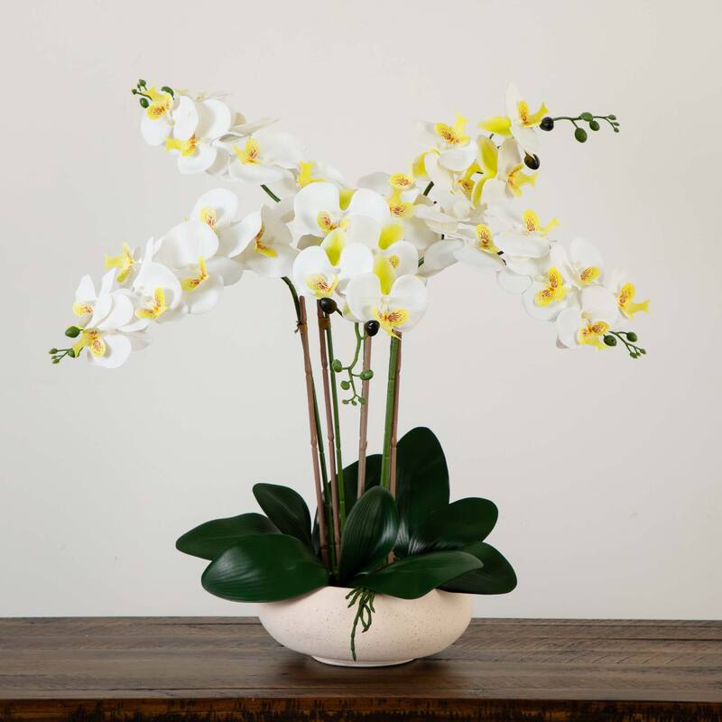Phalaenopsis Orchid Artificial Floral Arrangement with Ceramic Planter - 23" - White
