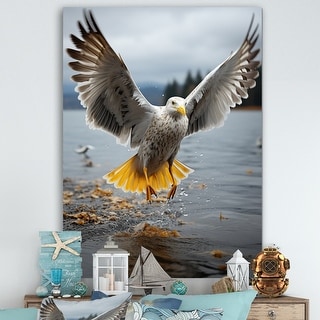 Designart "Coastal Seagull Soaring" Coastal Beach Sand Canvas Art Print ...
