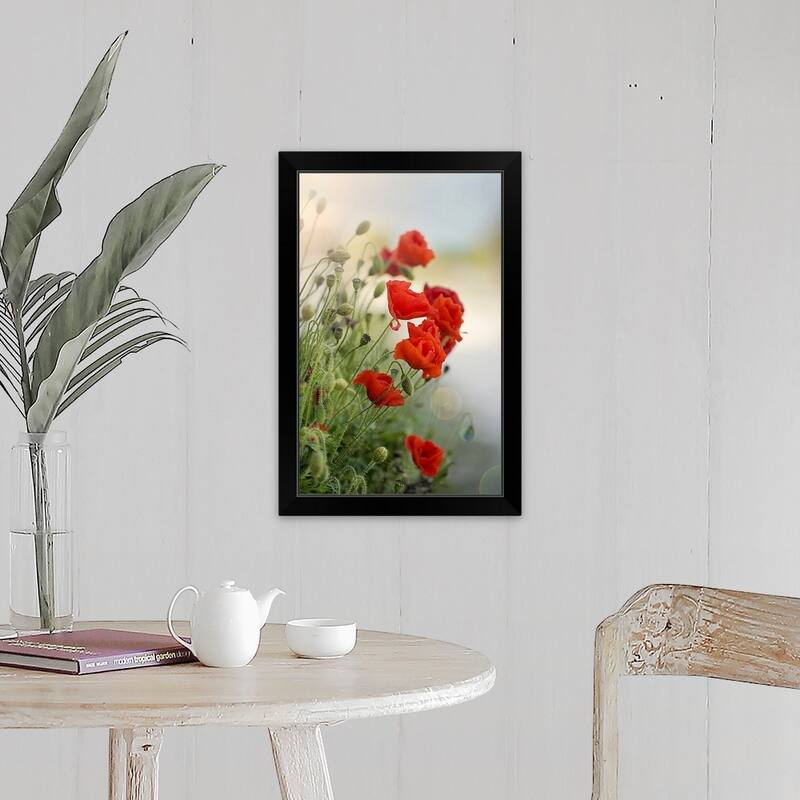 "Flanders poppy with sun flare." Black Framed Print - 16 x 24