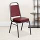 Option Burgundy Vinyl/Silver Vein Frame