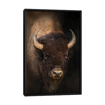 iCanvas "Bison In Light" by Patsy Weingart Framed Canvas Print
