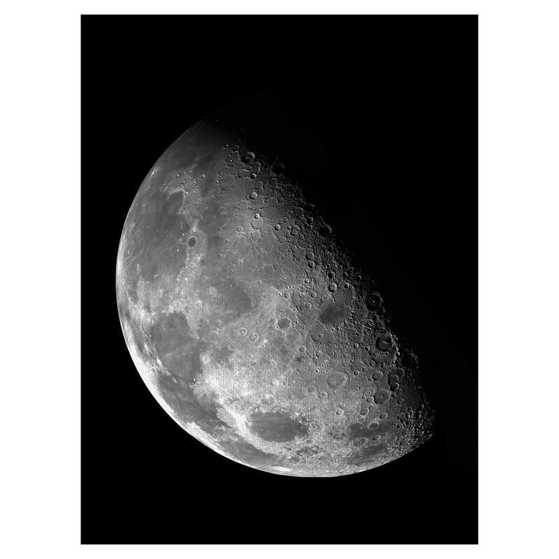 Moon Study Canvas Art Print
