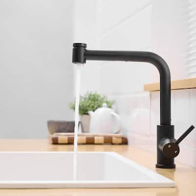 Single Handle Kitchen Faucet with Pull Out Spray