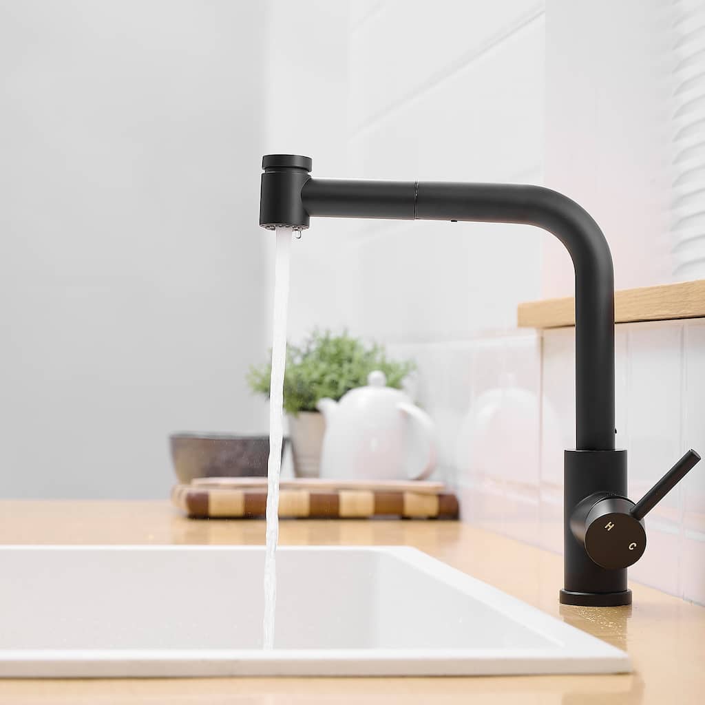 Single Handle Kitchen Faucet with Pull Out Spray
