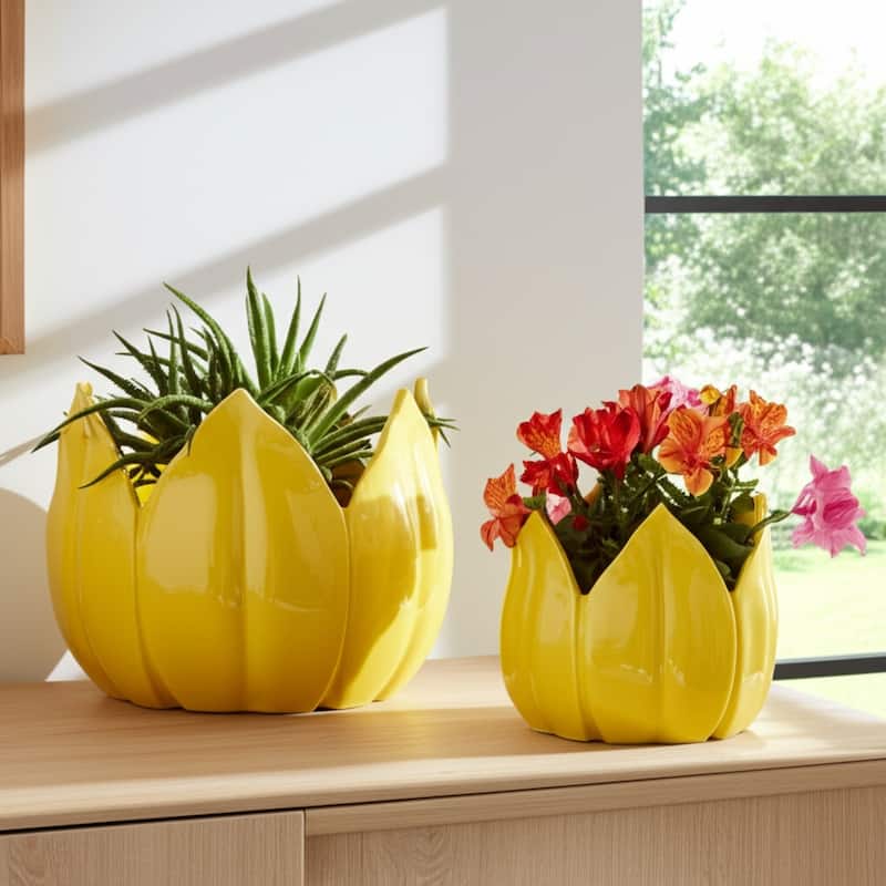 Stoneware Ceramic Planters Petal Design and Drainage Hole (Set of 2)