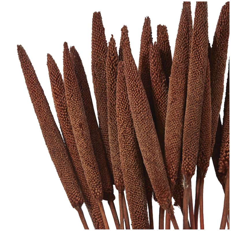 Dried Plant Bunny Tail Home Decor Natural Foliage - White, Red, Dark Brown, Orange, Green, Pink, Yellow - Roche River Decor