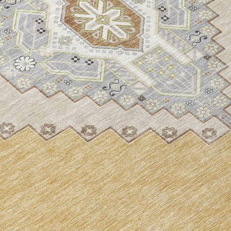 Machine Washable Indoor/ Outdoor Boho Traditional Chantille Rug