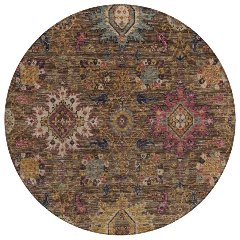 Machine Washable Indoor/Outdoor Boho Traditional Chantille Rug