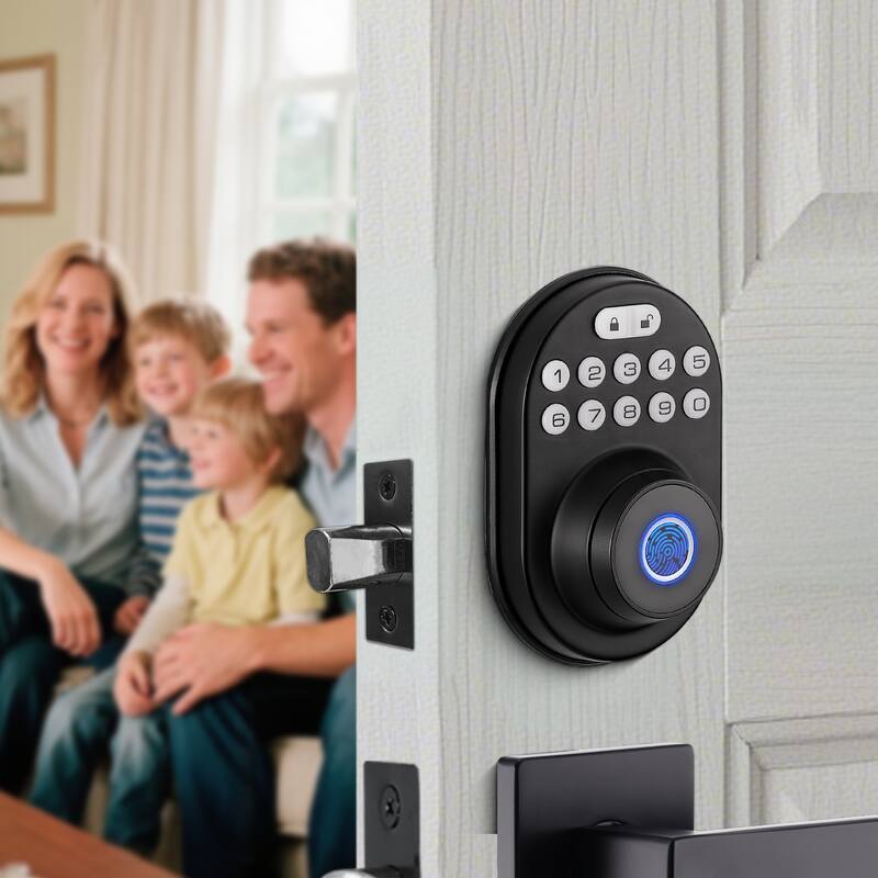 Smart Lock with Fingerprint and Hidden Keypad