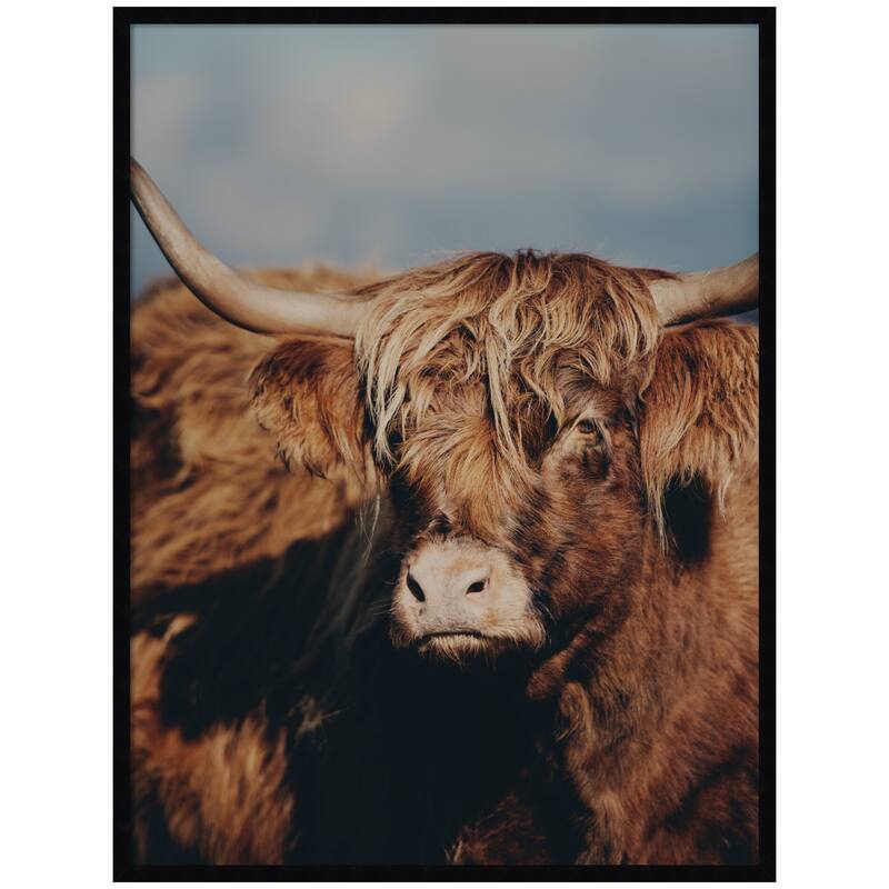 Kate and Laurel Highland Cow No. 5 by Laura Evans Framed Wall Art Print - 31 x 41 - Black