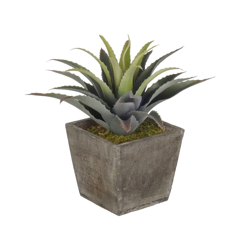 Faux Star Succulent in Grey Wood Cube