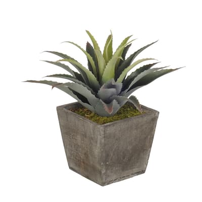 Faux Star Succulent in Grey Wood Cube
