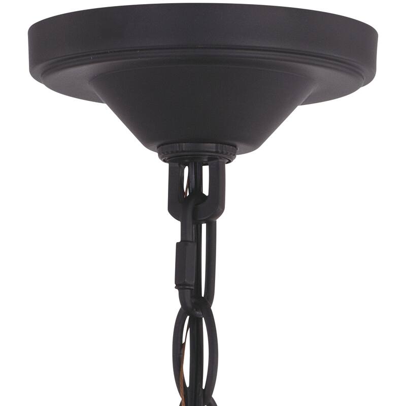 Collins 1 Light Black Farmhouse Outdoor Pendant Clear Schoolhouse Glass - 10-in. W x 11.5-in. H x 10-in. D