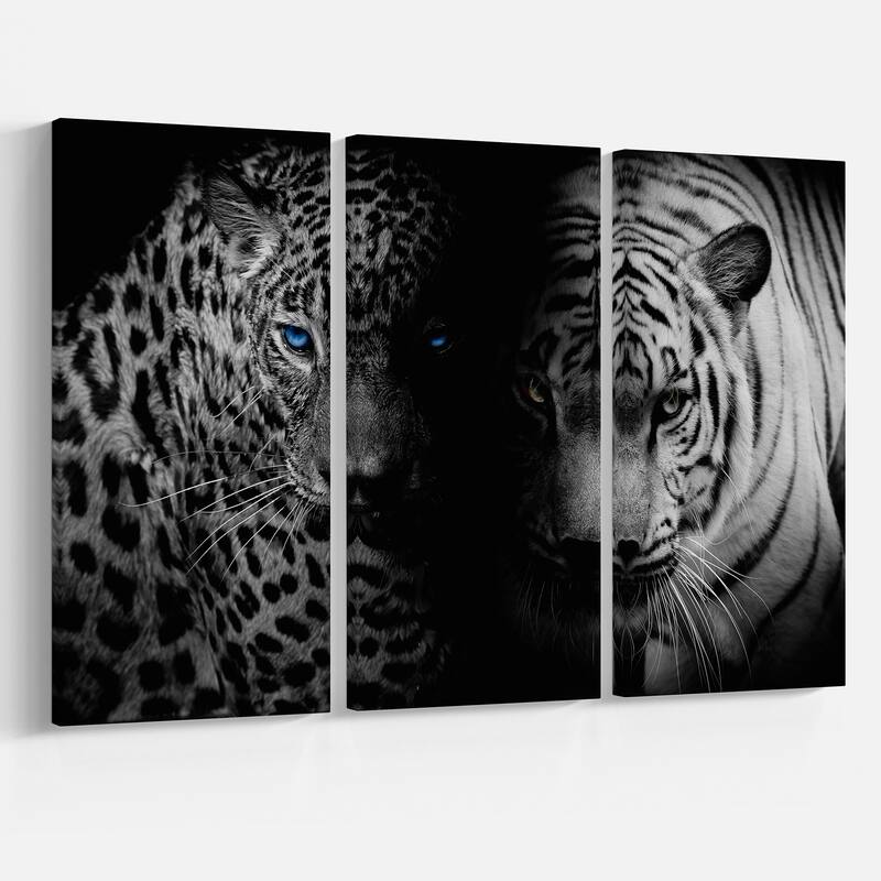 Designart "Leopard and Tiger in Black" Animal Canvas Art Print 36x28