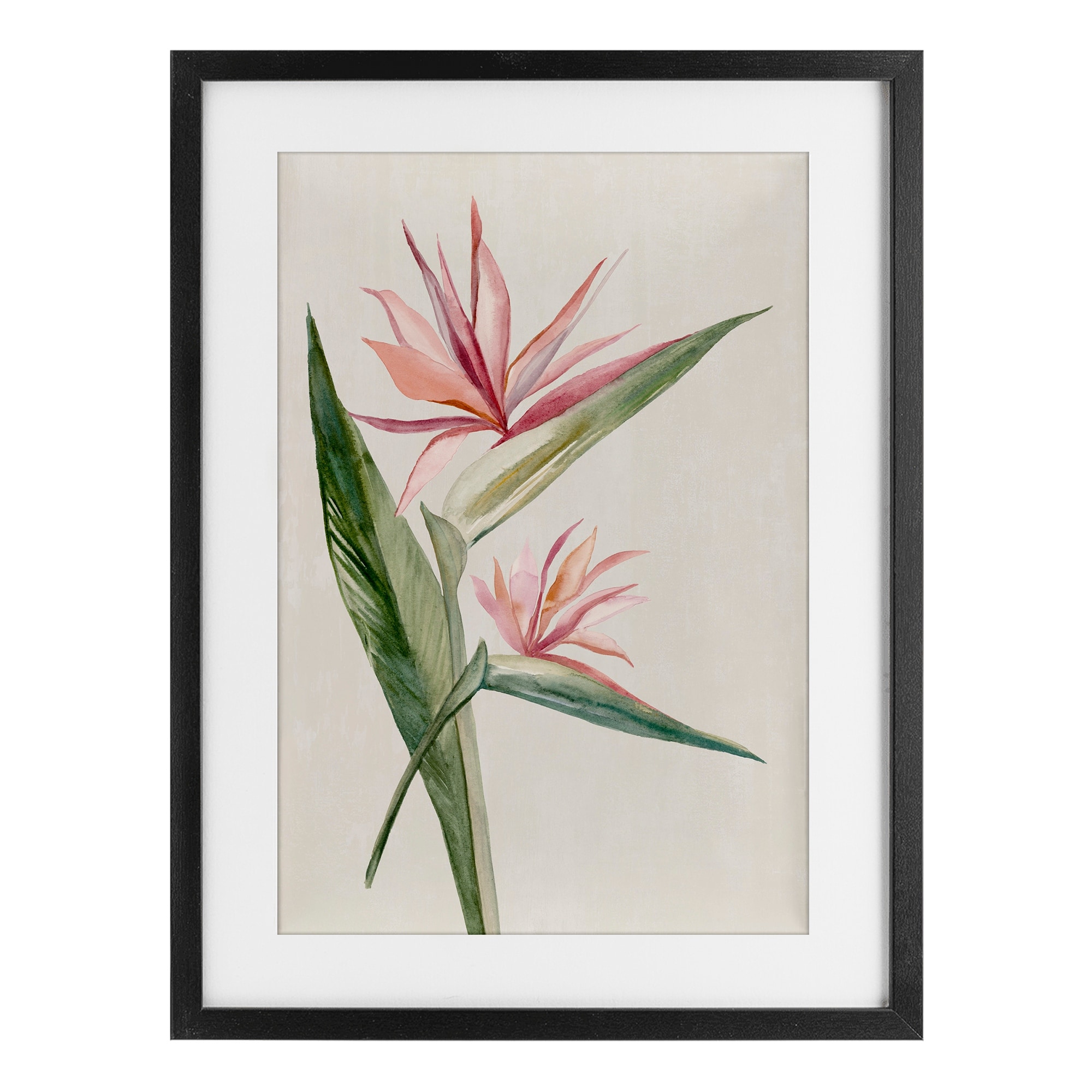 Stupell Tropical Grace Birds of Paradise Under Glass Framed Design By Hannah Dawson