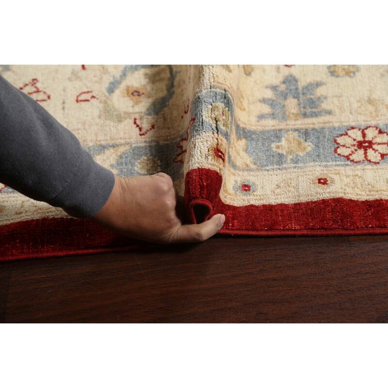Vegetable Dye Floral Ziegler Oriental Wool Area Rug Handmade Carpet - 10'1" x 13'8"