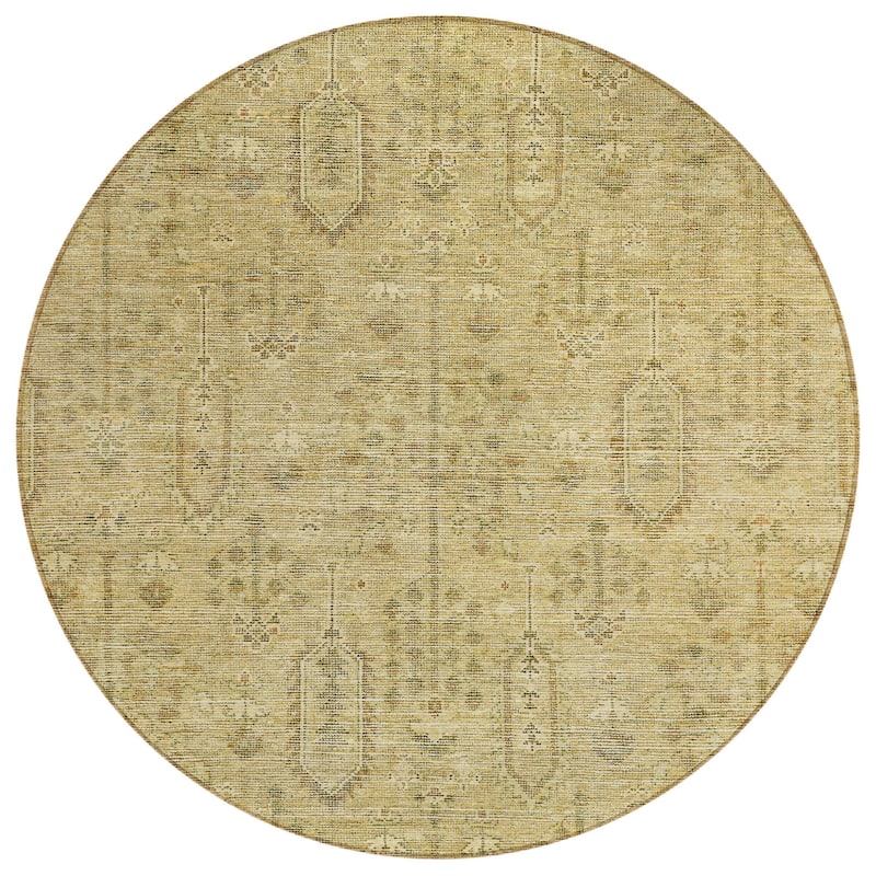 HomeRoots Southwestern Transitional Rectangle Outdoor Rug
