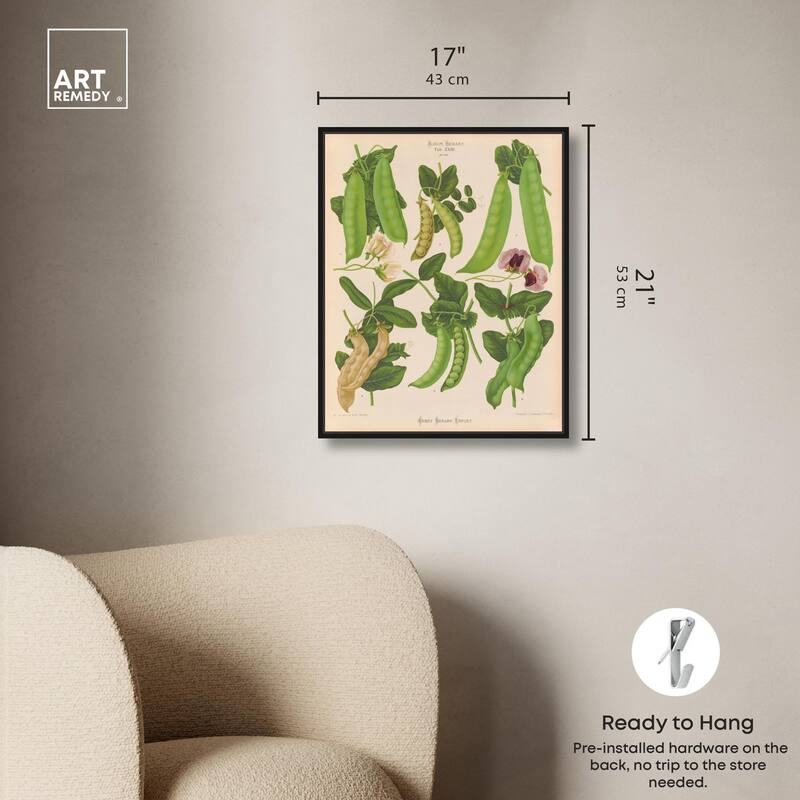Podded Peas from Benary 1876 Canvas by Art Remedy