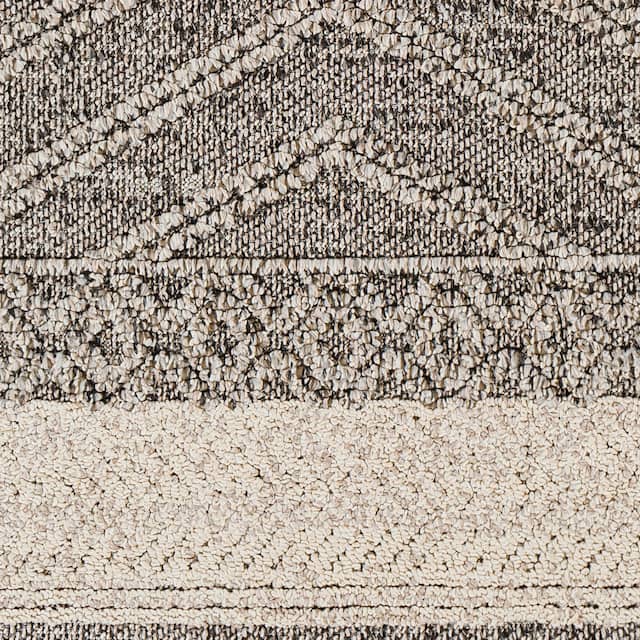 Sarasota Outdoor Safe Farmhouse Netural Area Rug