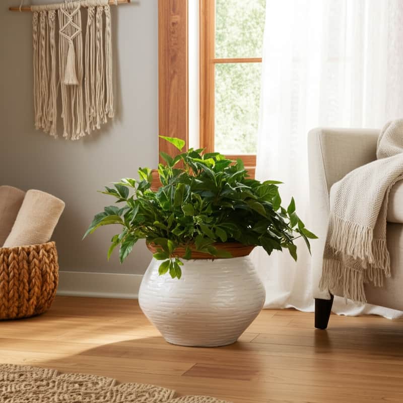 Pottery Planter Textured Design Indoor Outdoor Use - 7" White, Tan - 8" x 8" x 6.5"