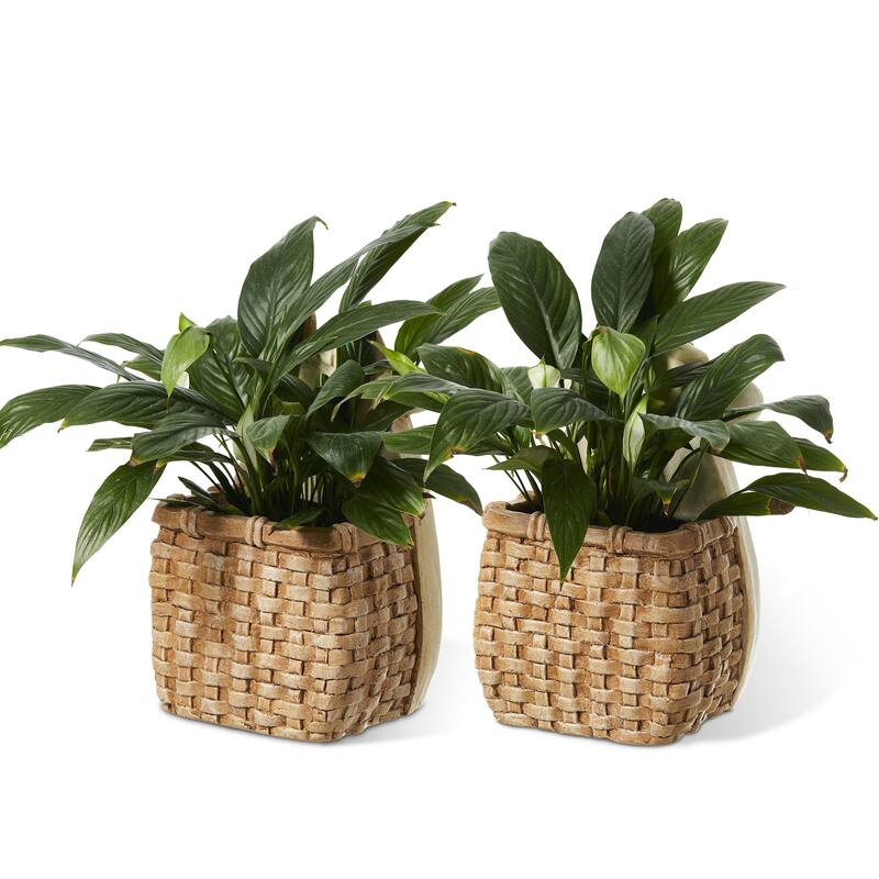 Glitzhome Set of 2 MGO Cute Sheep & Cow Statue Planter