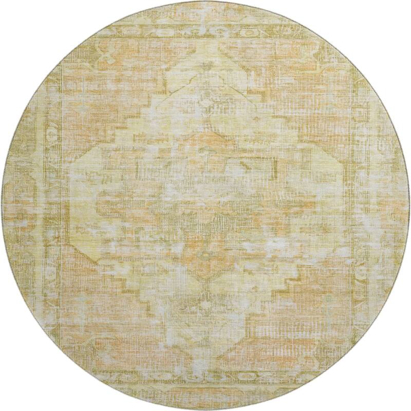 Premium Washable Super Soft Vintage Traditional Mayfield Rug