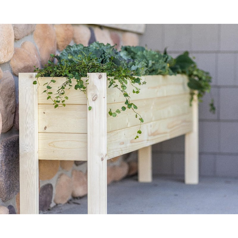 Zylina Raised Garden Planter Collection - Extra Long - 60 x 12 x 22