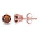 Option Rose