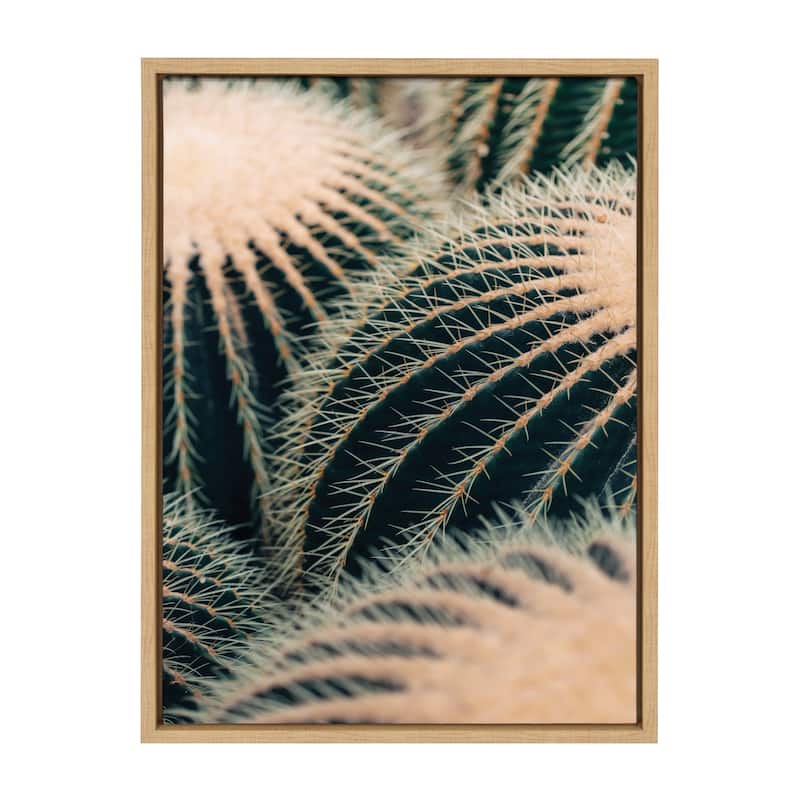 Kate and Laurel Sylvie Barrel Cactus Framed Canvas by Alicia Bock