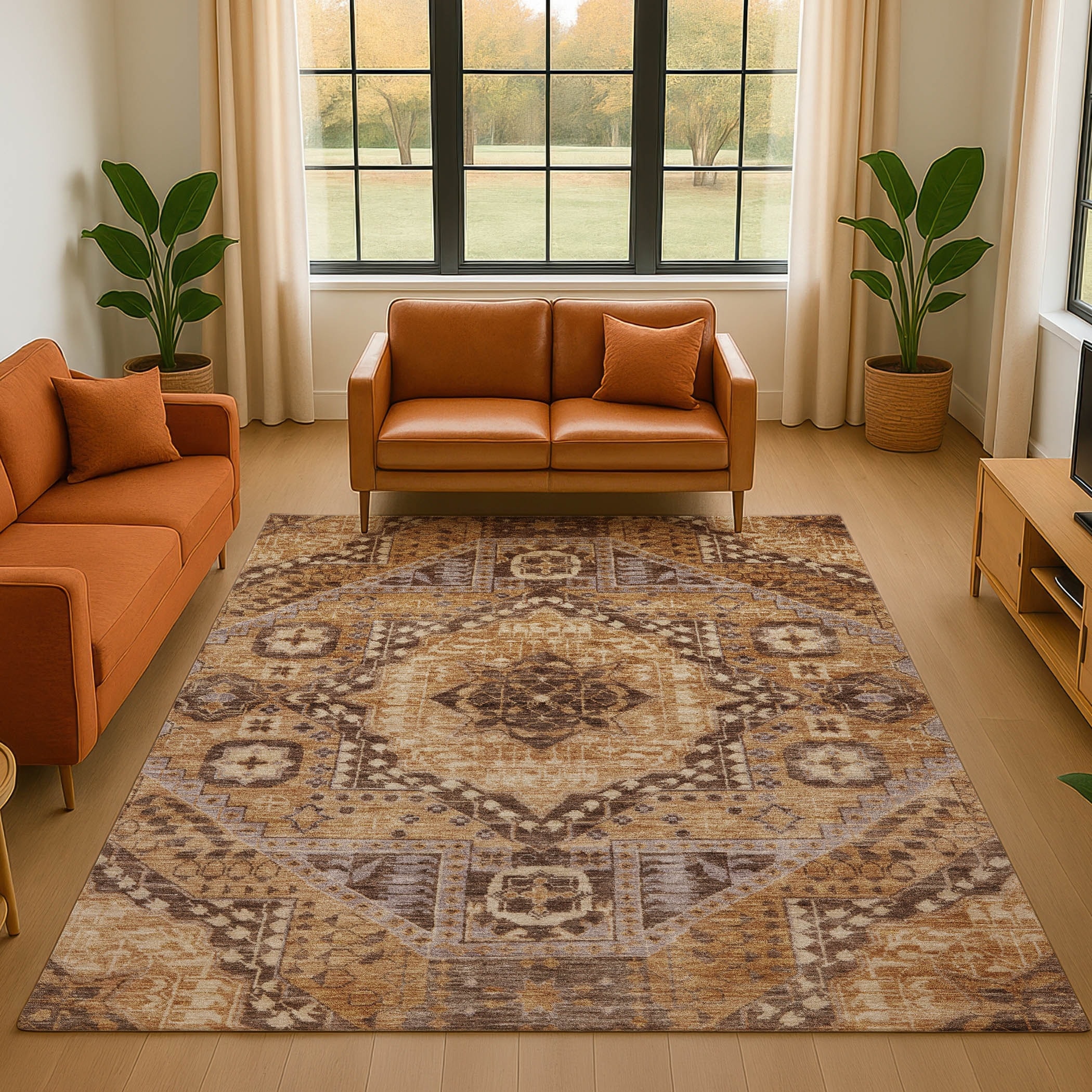 Premium Washable Super Soft Traditional Global Mayfield Rug