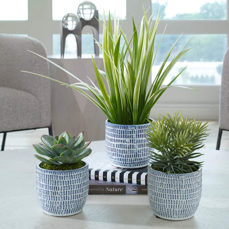 Succulent and Grass Centerpiece with Ceramic Pot - 22" - Set of 3