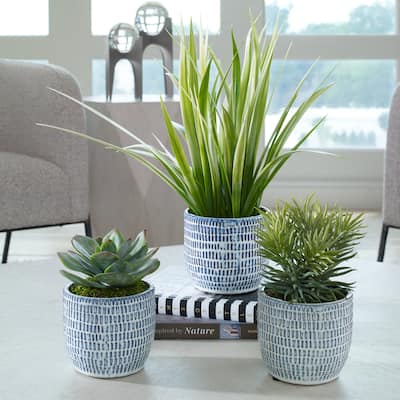 Succulent and Grass Centerpiece with Ceramic Pot - 22" - Set of 3