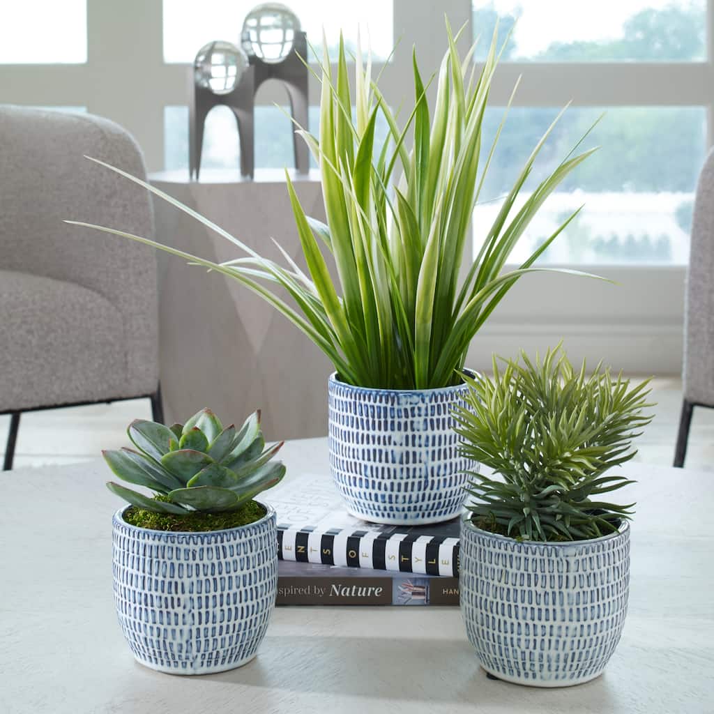 Succulent and Grass Centerpiece with Ceramic Pot - 22" - Set of 3