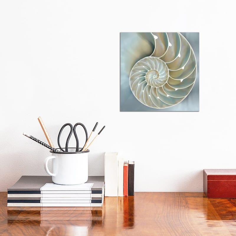 iCanvas "Nautilus In Blue II" by Caroline Kelly Canvas Print - 12x12x0.75