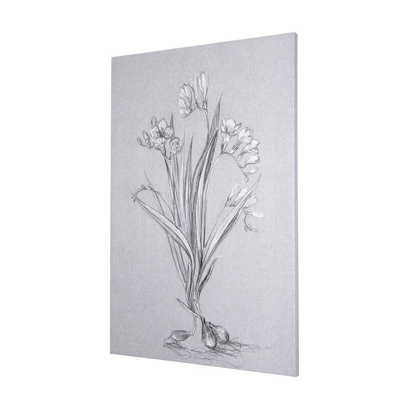 Botanical Sketches III (Grey) (24 x 36) Canvas Art Print