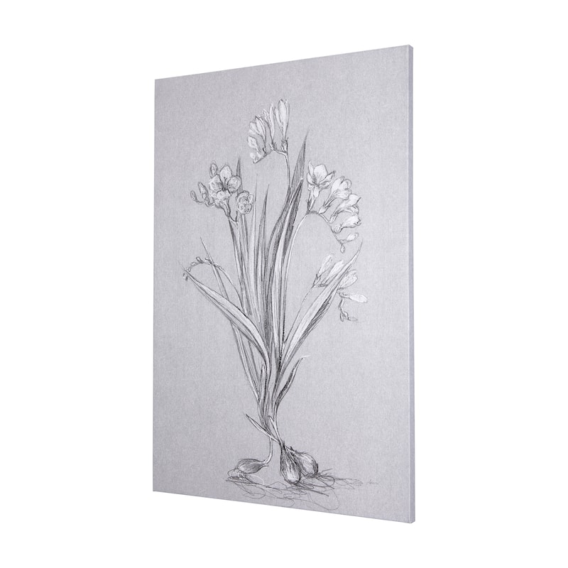 Botanical Sketches III (Grey) (40 x 60) Canvas Art Print