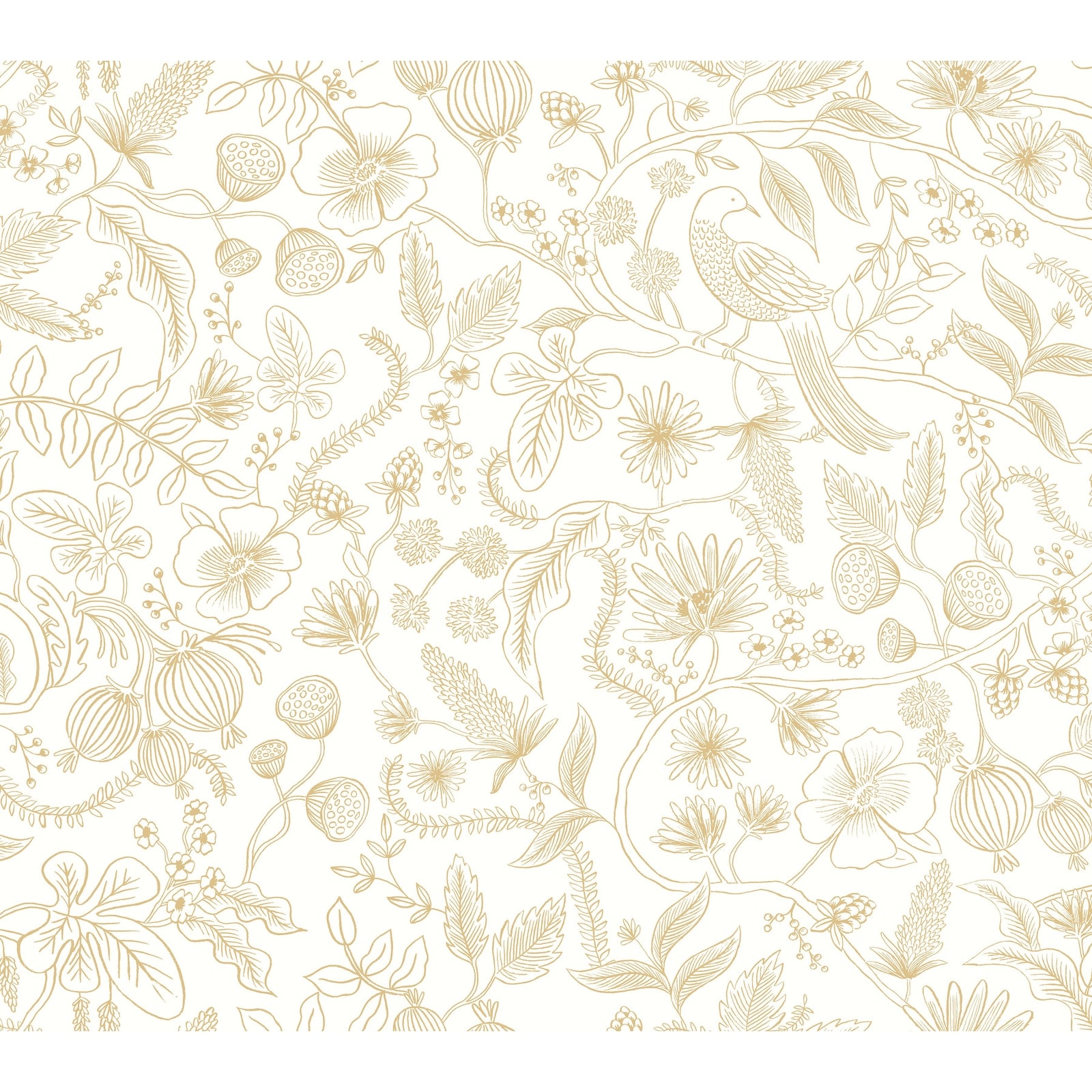 Rifle Paper Co.Aviary Off White and Gold Peel and Stick Wallpaper