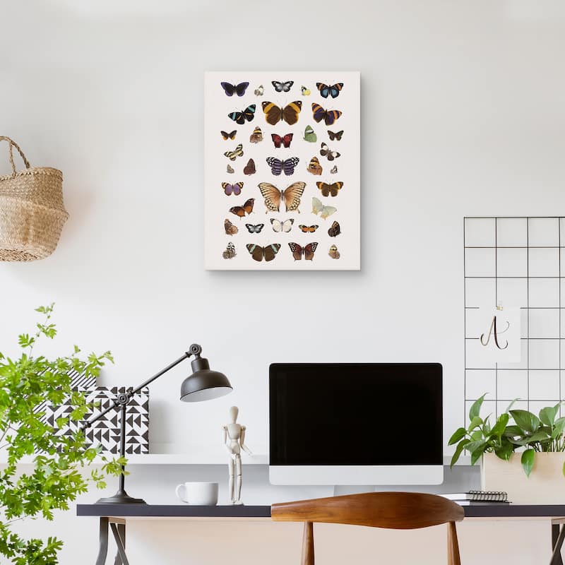 Papillons Harmony by The Drammis Collections Canvas Art Print