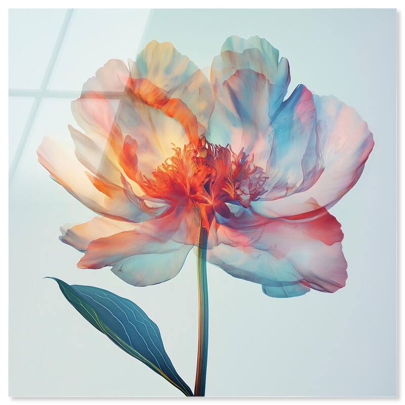 Peony Phases Acrylic by Art Remedy, Ready to Hang - 16" x 16"