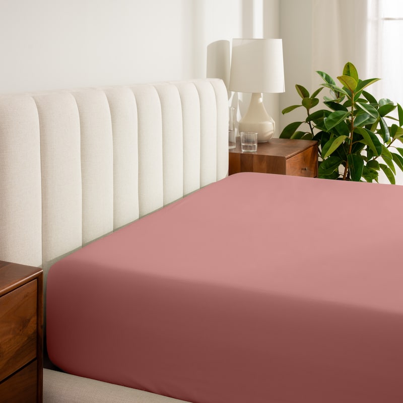 Bare Home Organic Cotton Percale Fitted Bottom Sheet