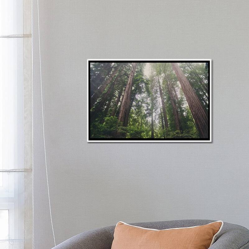 iCanvas "Muir Woods" by Laura Evans Framed Canvas Print