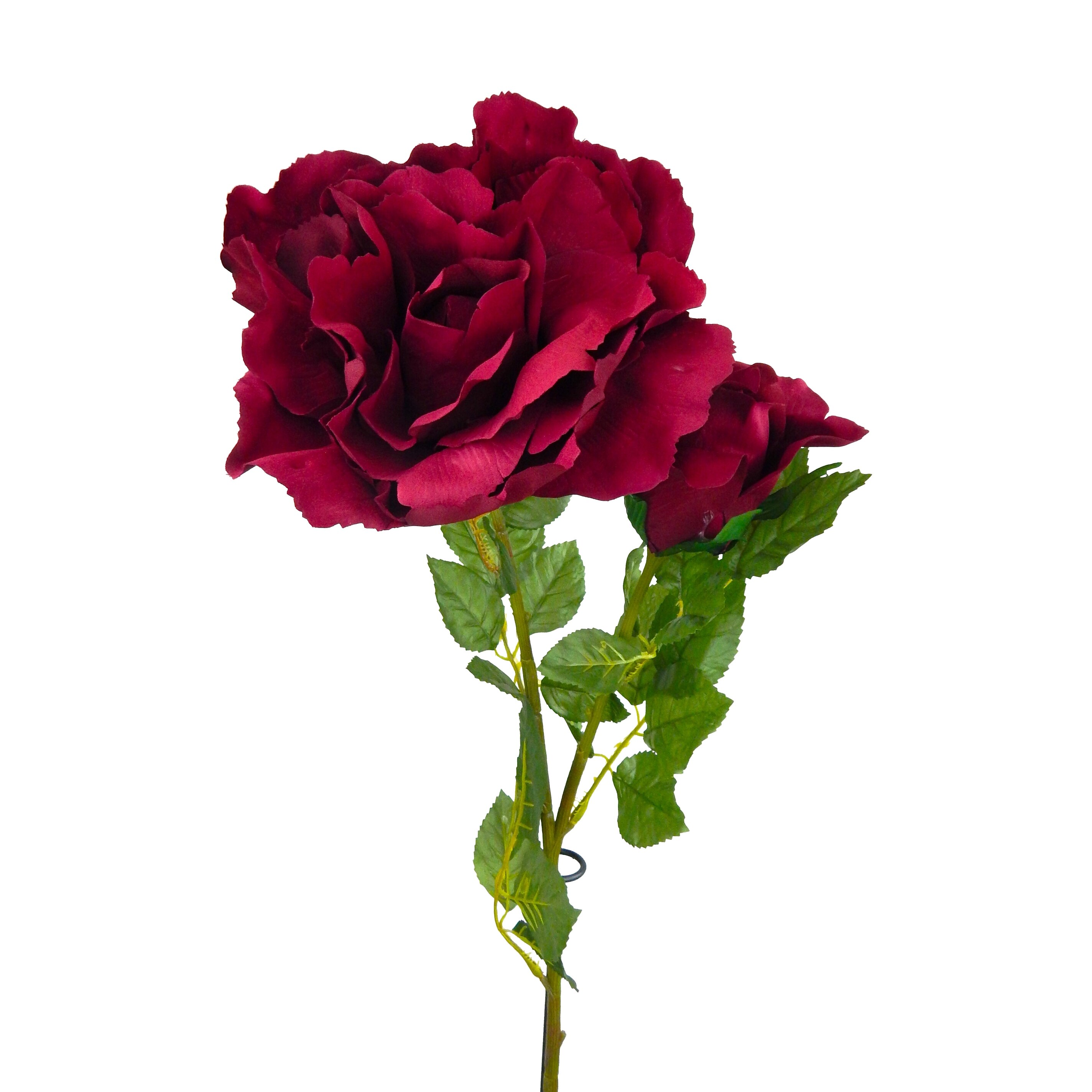 Shop A Bundle Of 6 Long Stem Roses And Rose Buds On Sale Overstock 31879886